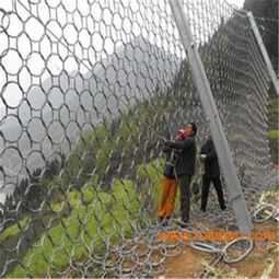 邊坡防護網施工費用明細 gps2型邊坡防護網,邊坡防護網施工費用明細 gps2型邊坡防護網生產廠家,邊坡防護網施工費用明細 gps2型邊坡防護網價格