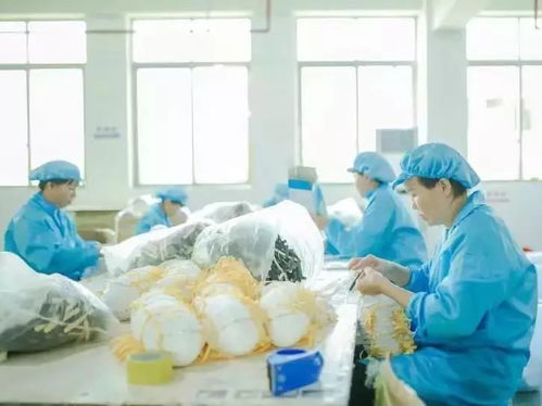 抗擊疫情 巾幗同行 致敬漠陽最美逆行者