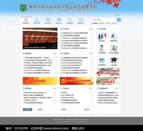 廣東食品藥品行業網站模板與汕頭網站建設指南
