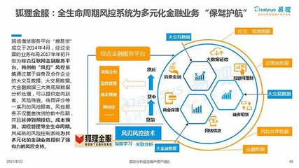 2017中國互聯網金融行業互聯網數據服務專題分析 驅動、格局與挑戰